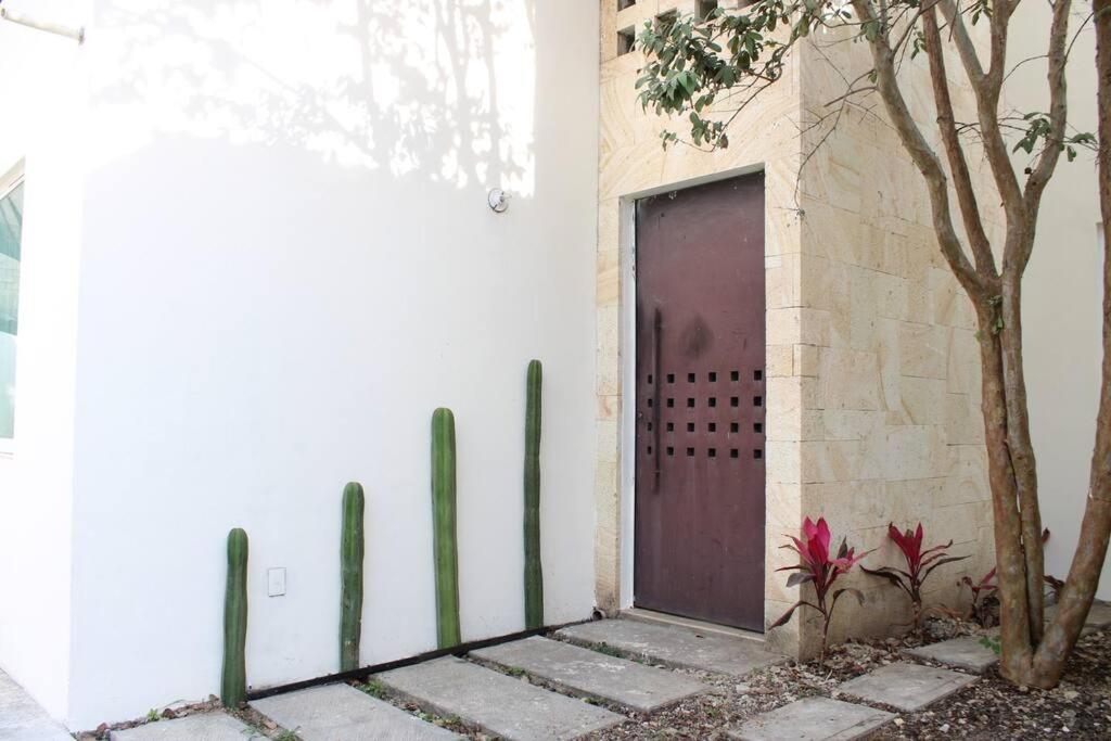 Casa Colibri Oaxaca Con Jacuzzi En Terraza Santa Maria Atzompa Exterior foto